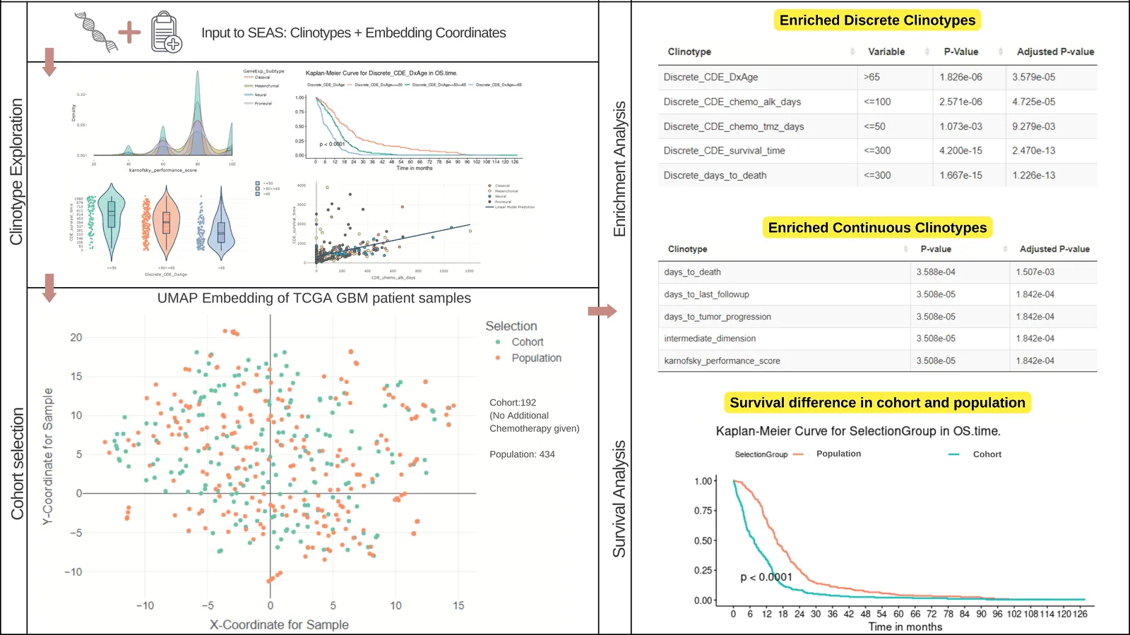 A graphical summarization of SEAS for TCGA-GBM case study.