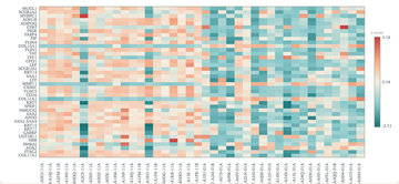 heatmap