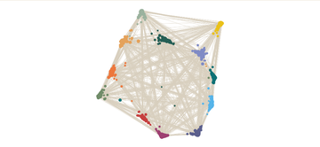 network graph